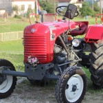 Img 7519