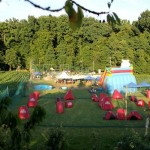 10413425 926735034054427 6700054039727191061 N