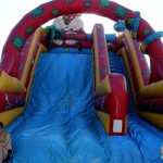 11009961 926639290730668 1808134369992726966 N