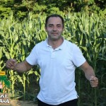 11667508 926734994054431 5145608426646480110 N