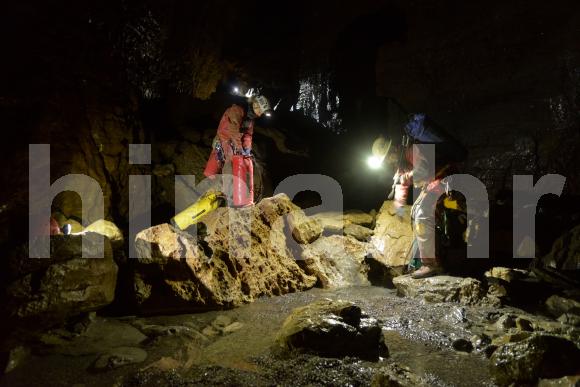 U Hrvatskoj otkrivena “stonoga iz podzemlja”