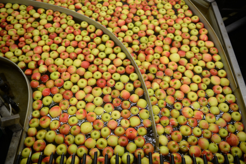 Njemački znanstvenici miješaju kruške i jabuke