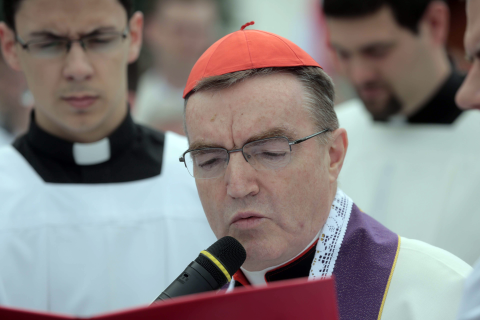 Kardinal Bozanić