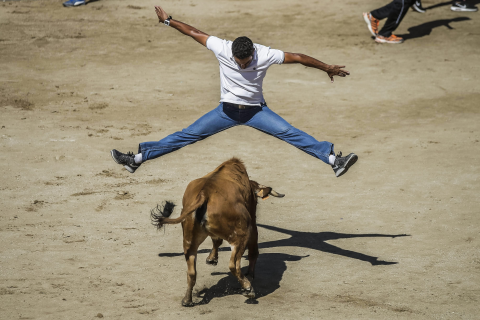 Kulturološki zaokret: Španjolska ukinula godišnju nagradu za borbe s bikovima