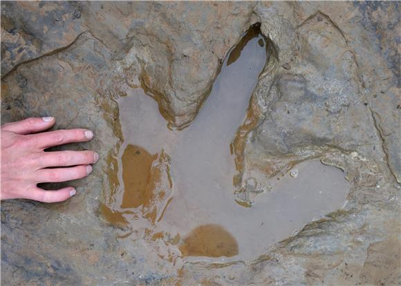 Njemački znanstvenici otkrili rijetke tragove dinosaura