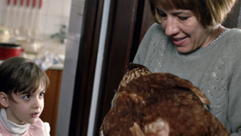“Kraljevi cigareta” i “Kokoška” pobjednici Kinookous Food Film Festivala
