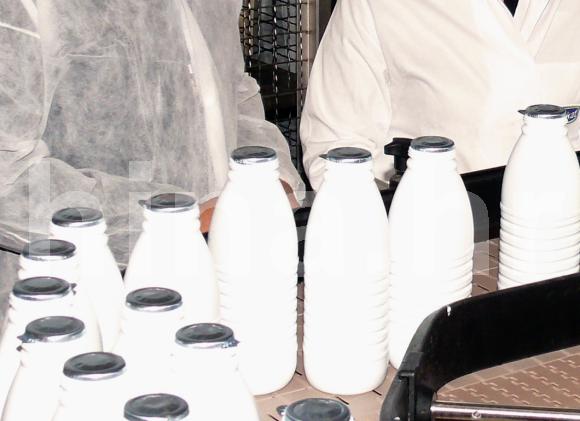 Isplaćena interventna potpora mljekarima od gotovo 25 mln kuna