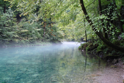 Nacionalni Park Risnjak