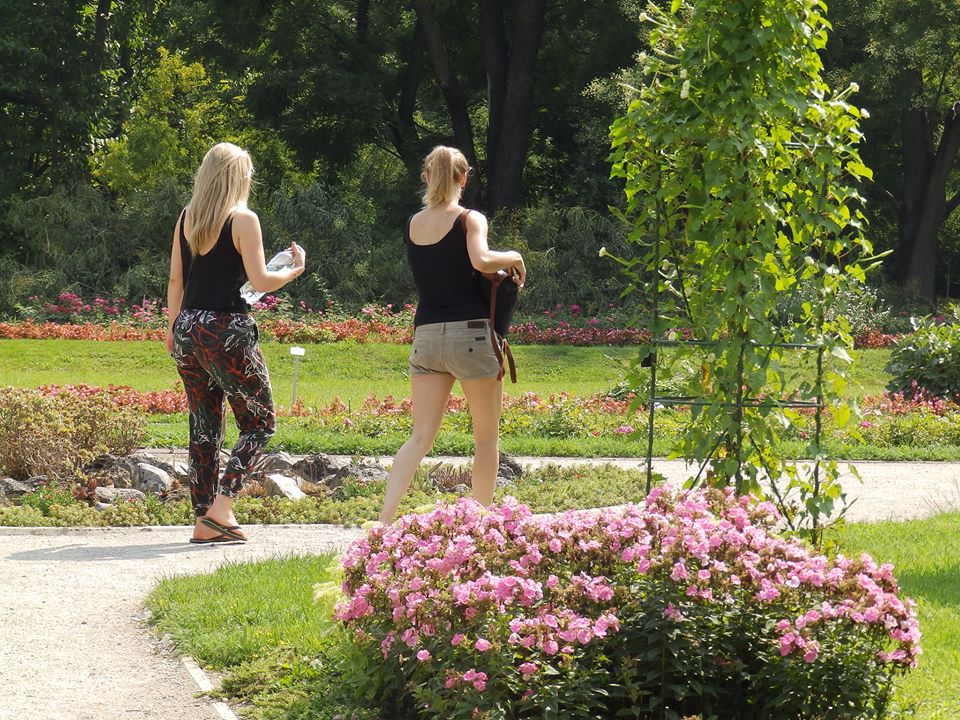 Istraživanje: Urbani vrtovi pomažu mentalnom zdravlju