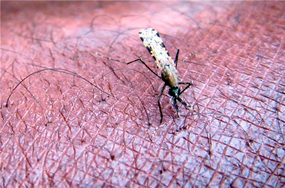Njemačka: Dronovima protiv komaraca