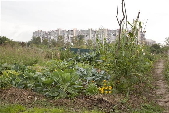 Urbane vrtove u Slavoniji imaju samo Osijek, Virovitica i Belišće