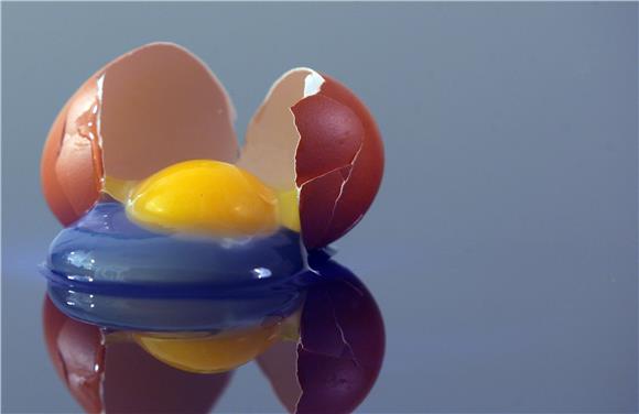 Davanje jaja i orašastih plodova bebama može smanjiti rizik alergija