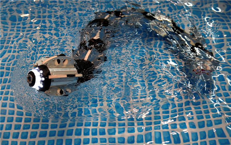 Podvodne robote kontroliraju ronioci svojim pokretima