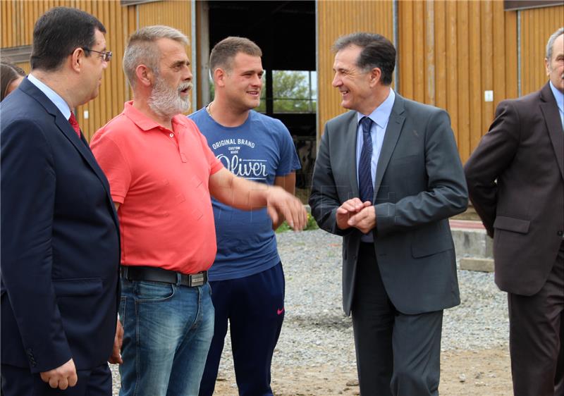 Romić: Mljekarski sektor će ove godine dobiti sto milijuna kuna više ...