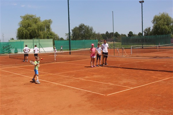 tenis
