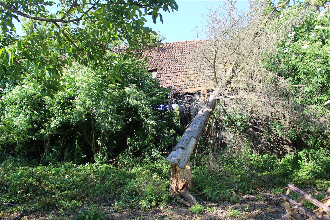 trema gornje selo
