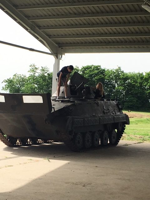 orehovec u vukovaru (2)