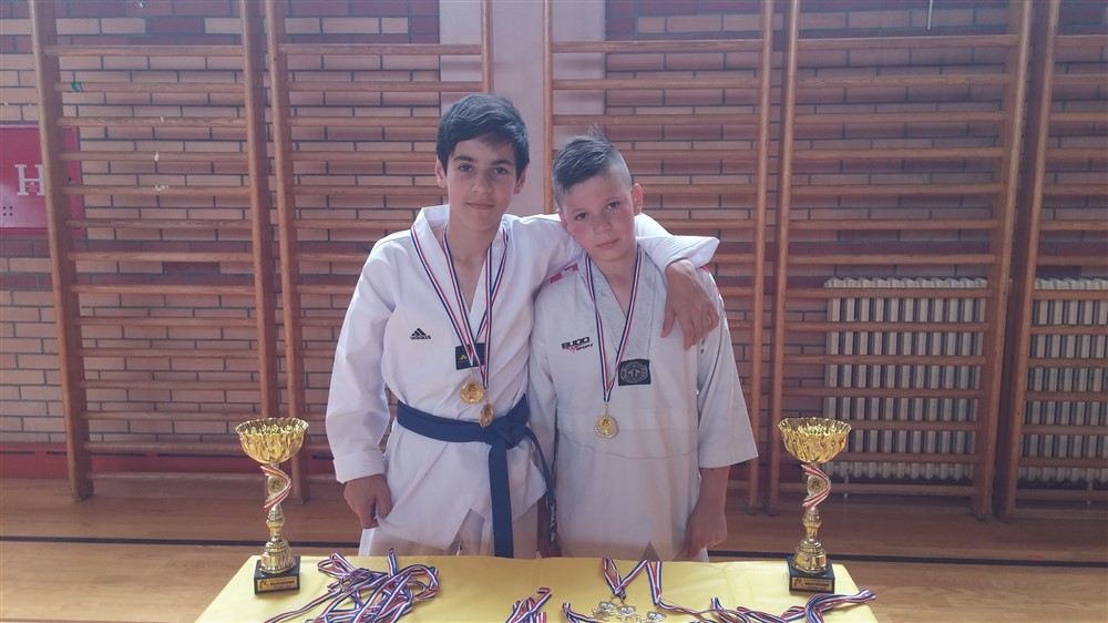 tk radnik limac kup (12)