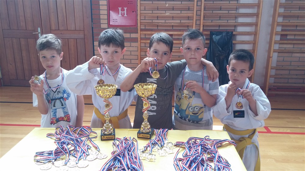 tk radnik limac kup (8)