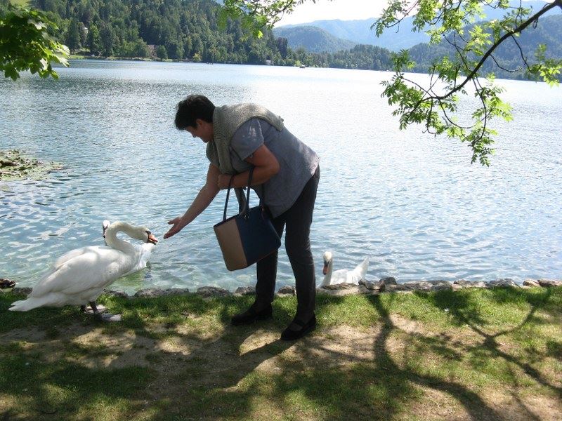 bled3