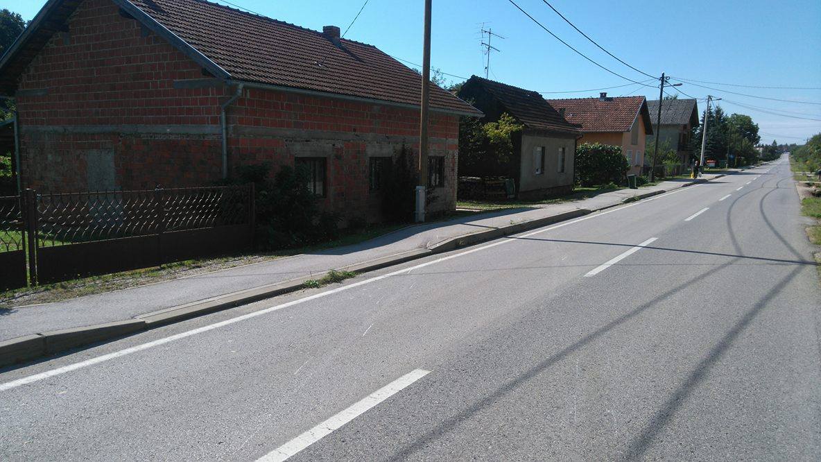 lepusiceva