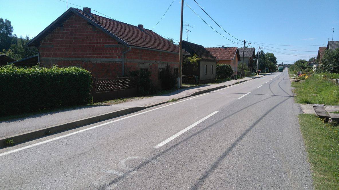 lepusiceva1