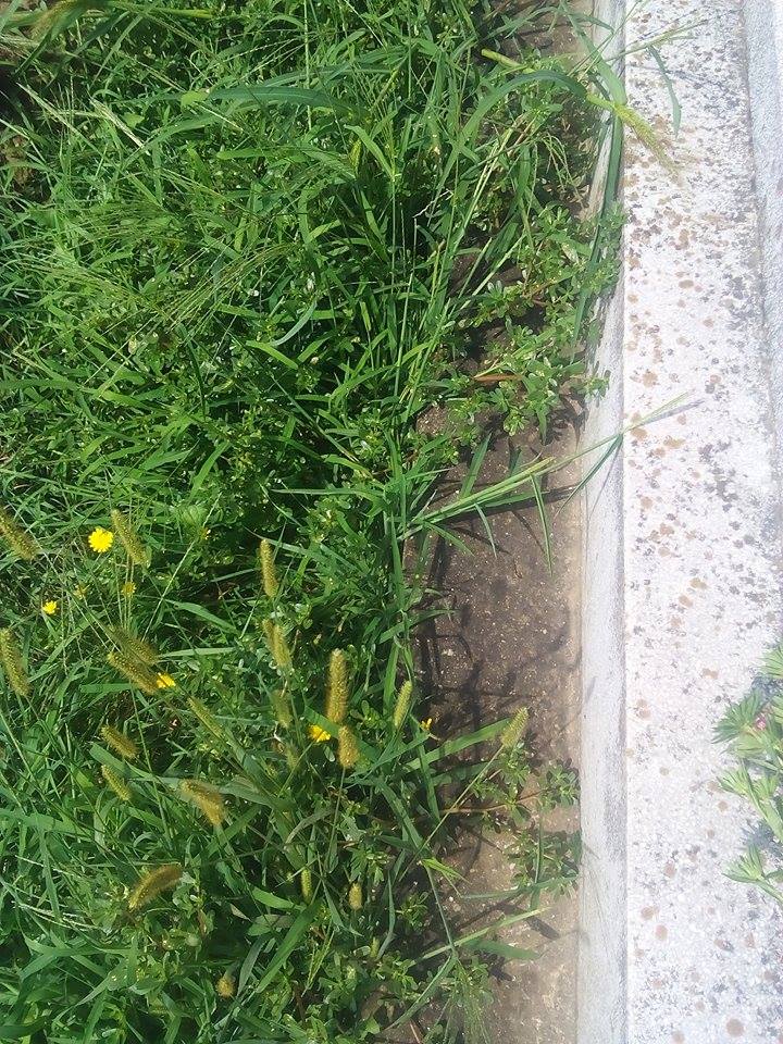 groblje2