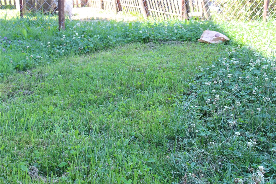 igraliste crni put (4)