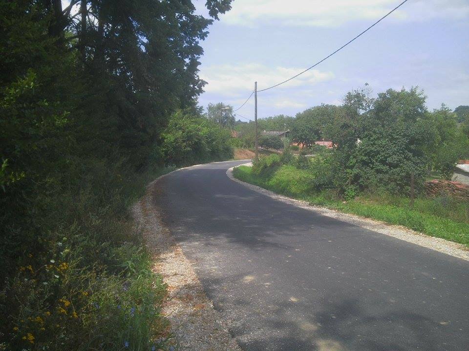 rascani (6)