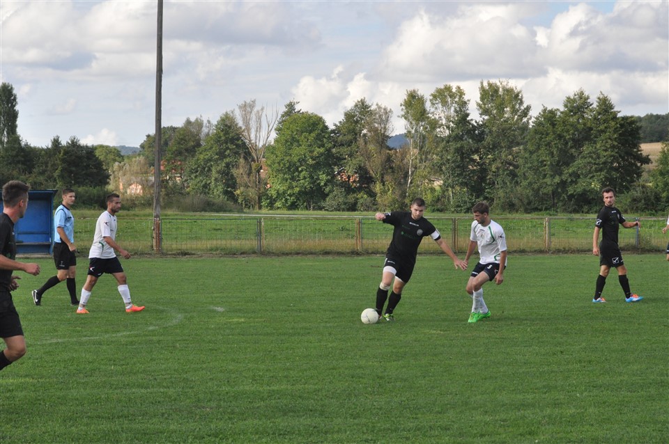 bojovnik gosk (7)