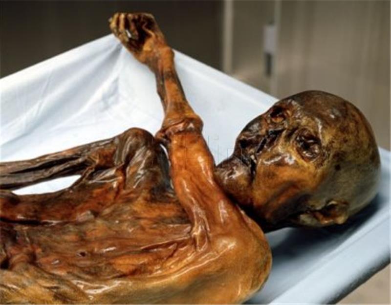 Mumija Oetzi predmet znanstvenog istraživanja i 25 godina nakon otkrića