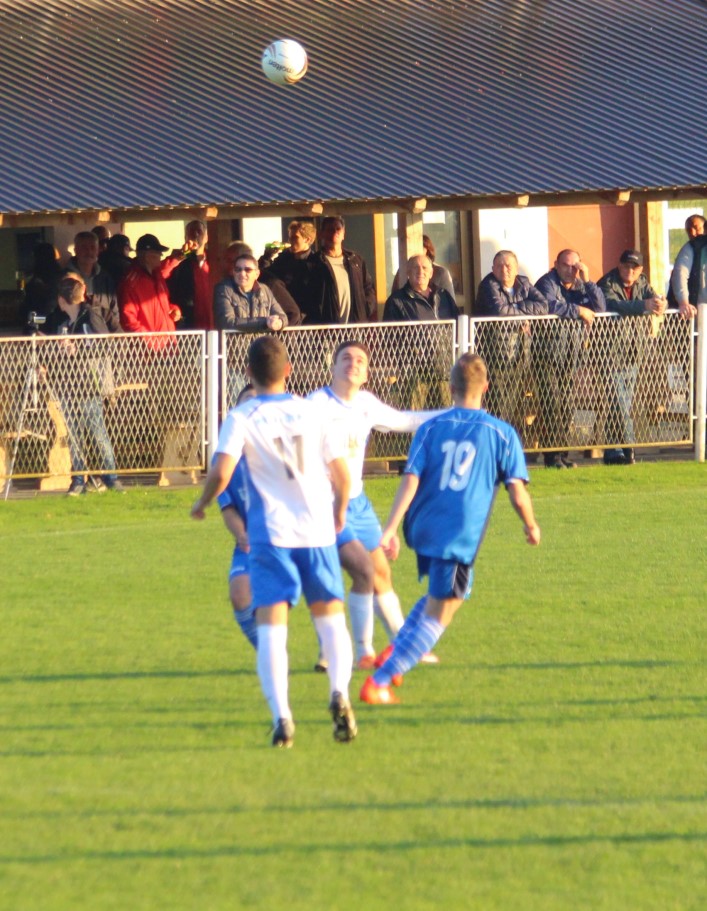 Rovisce krizevci (8)