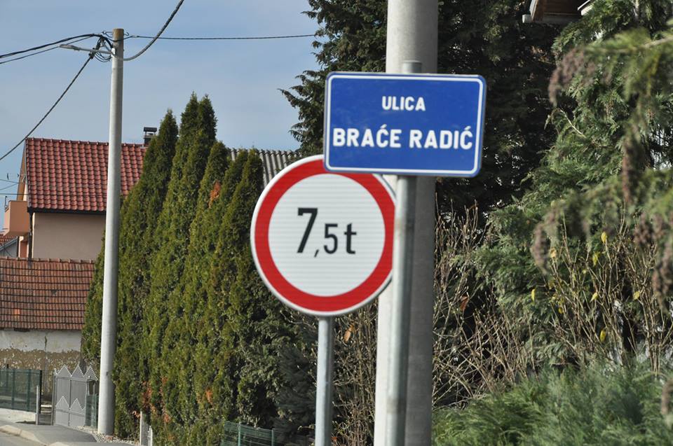brace radica1