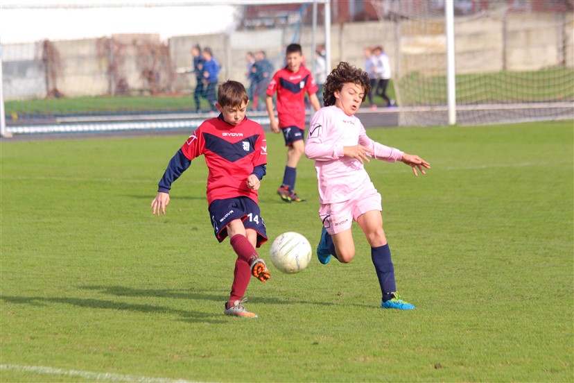 pioniri krizevci mladost zdralovi (11)