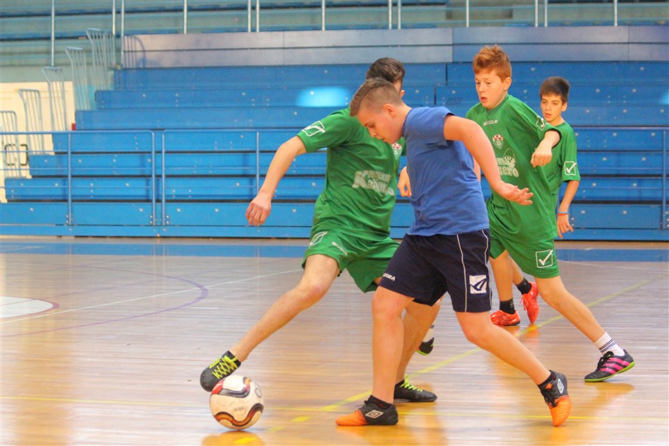 turnir-cedevita-u-1433