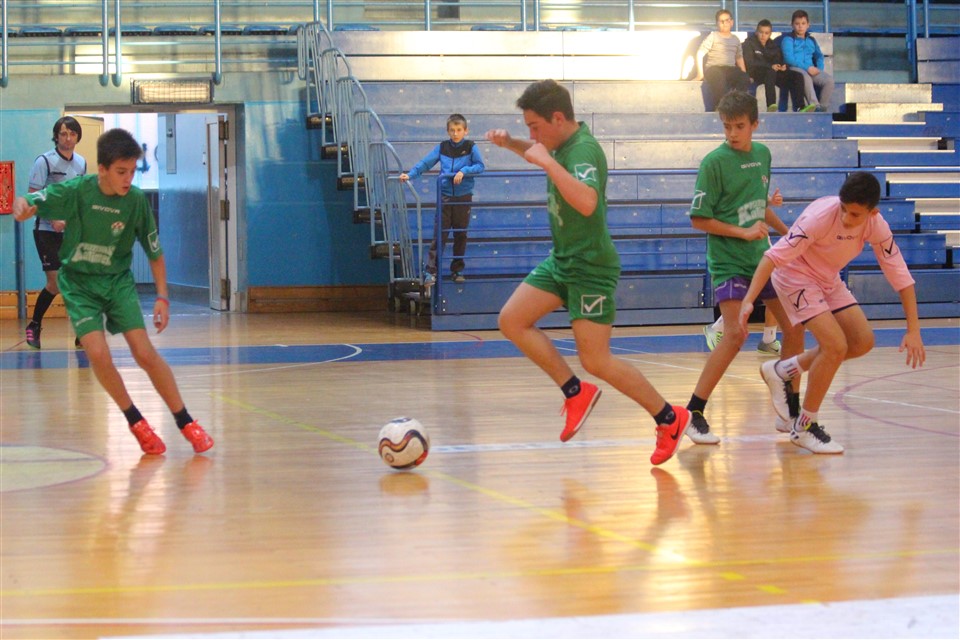turnir-cedevita-u-1436