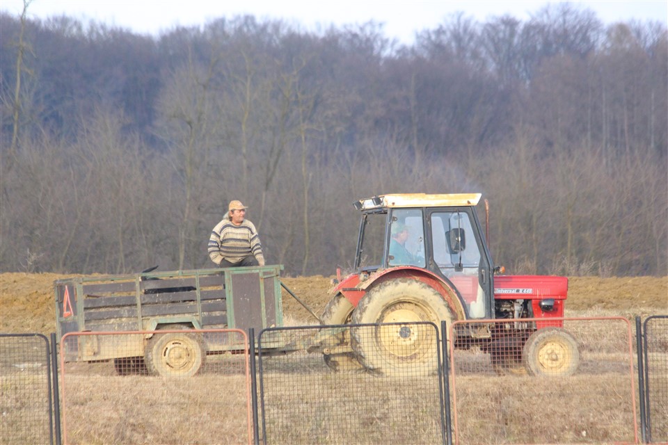 traktor, poljoprivreda