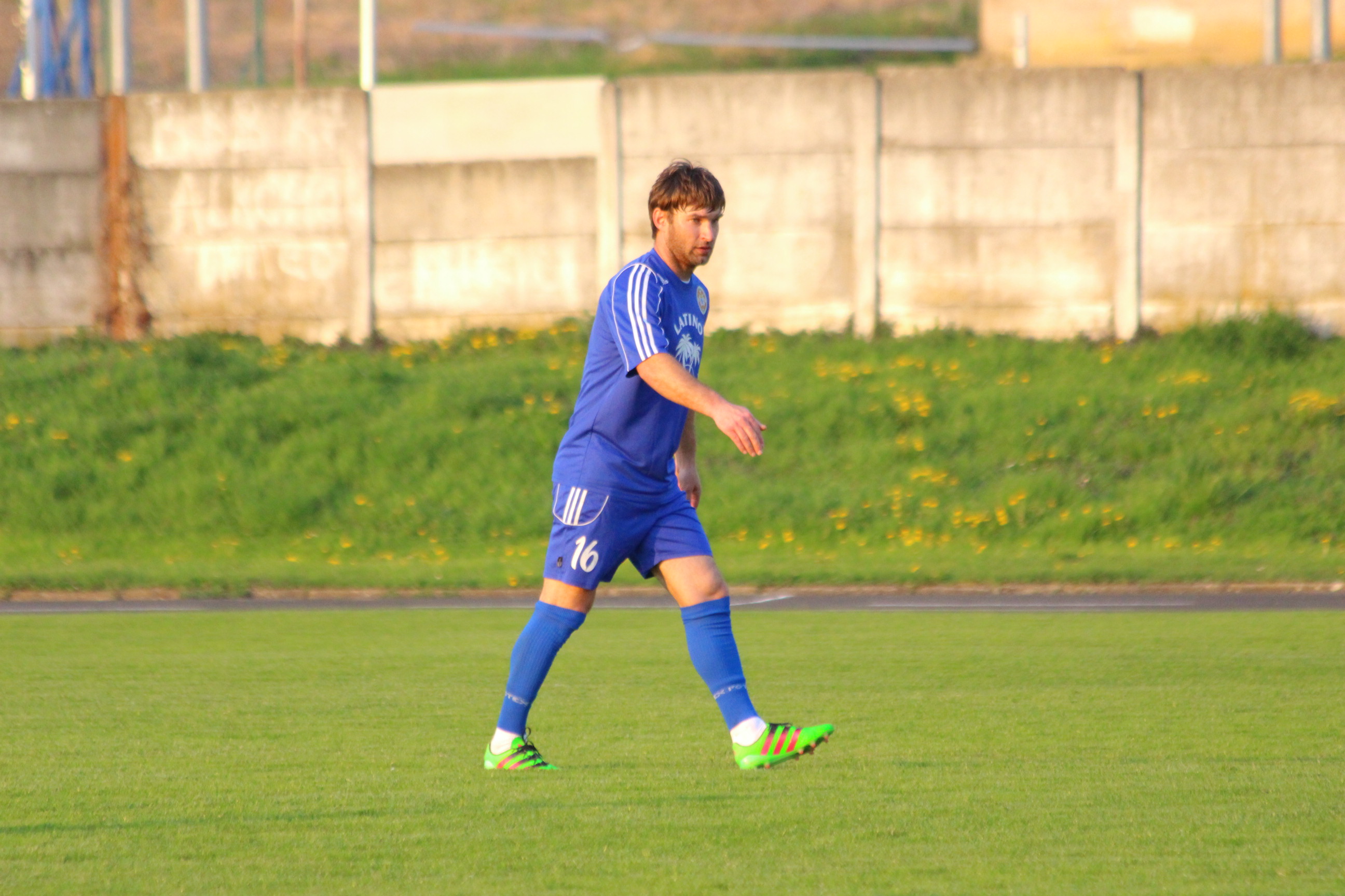 krizevci zelina