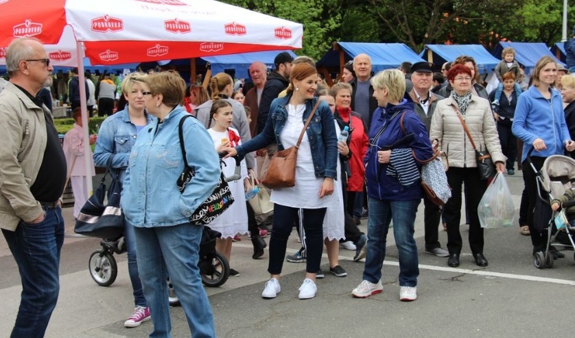 manifestacije koprivnica17