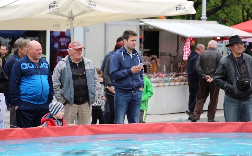manifestacije koprivnica18