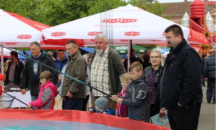 manifestacije koprivnica8