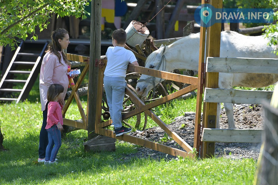 170506_jagnjedovecka-legenda_6