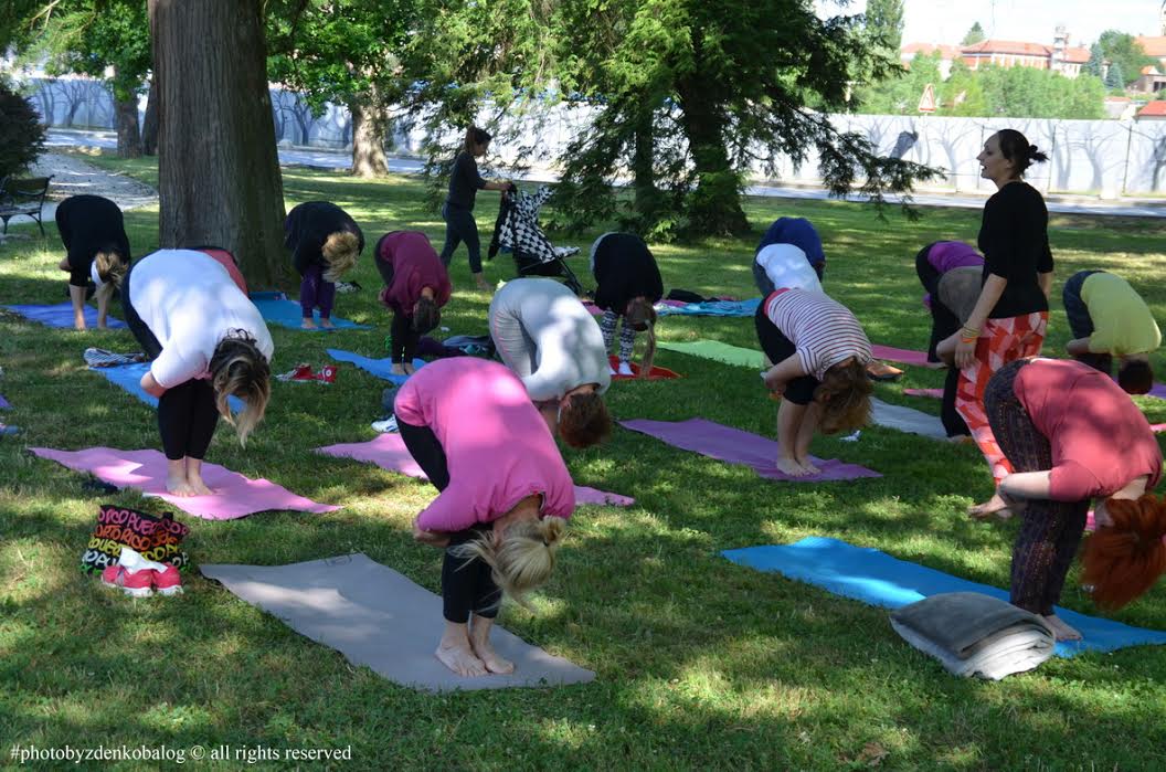 joga15