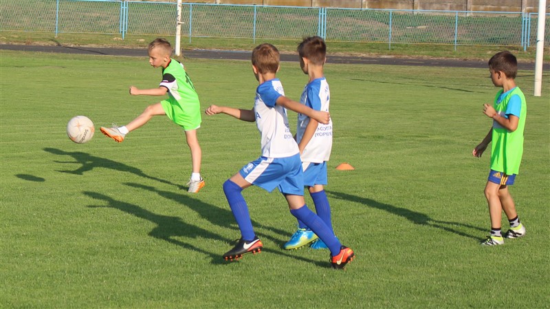 limaci krizevci dropkovec06