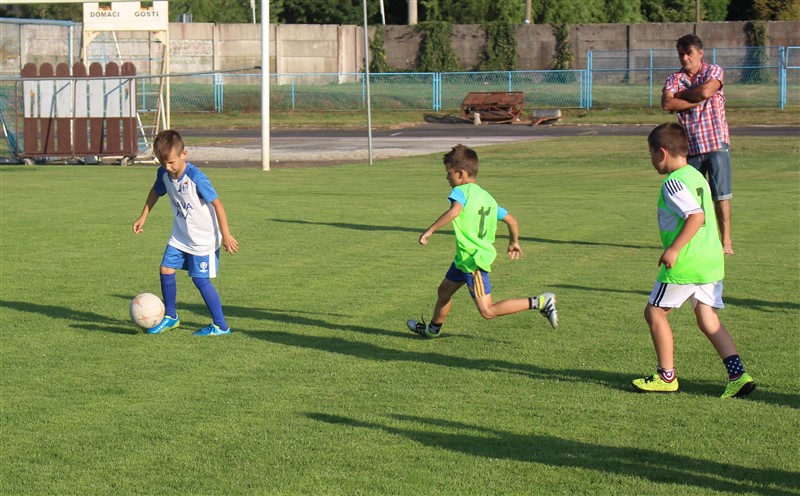 limaci krizevci dropkovec08