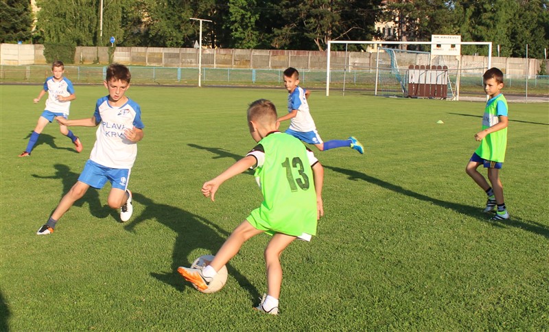limaci krizevci dropkovec11