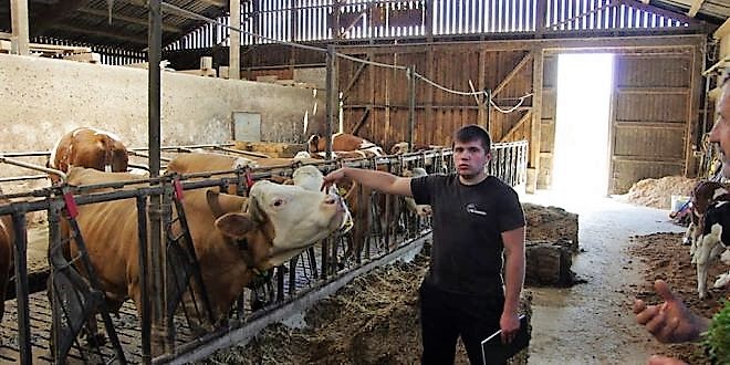 Obitelj Imbrišić iz Kozarevca – Uz primjenu znanja i suvremenih tehnologija do uspjeha u proizvodnji mlijeka