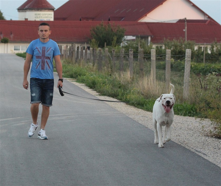 djelomicna pomrcina mjeseca07