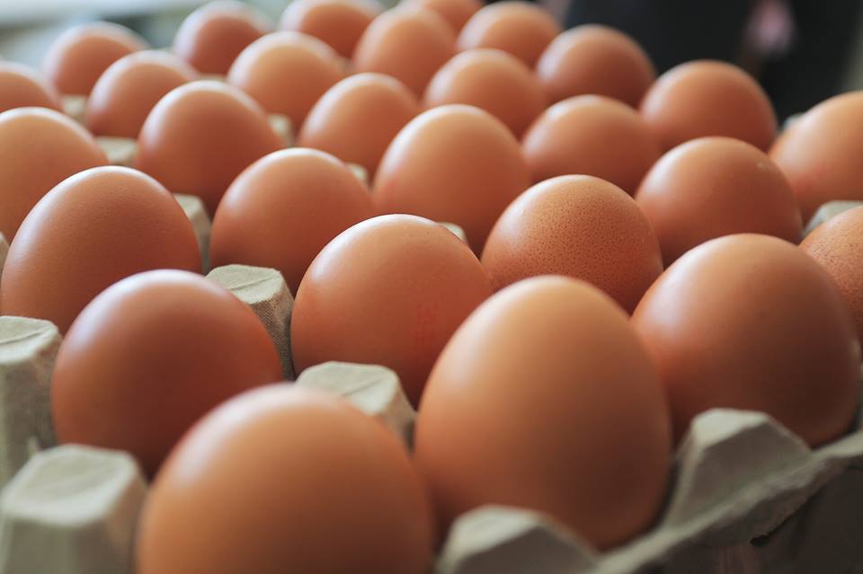 Dodatni opoziv ‘konzumnih jaja – Lukač’ zbog salmonele