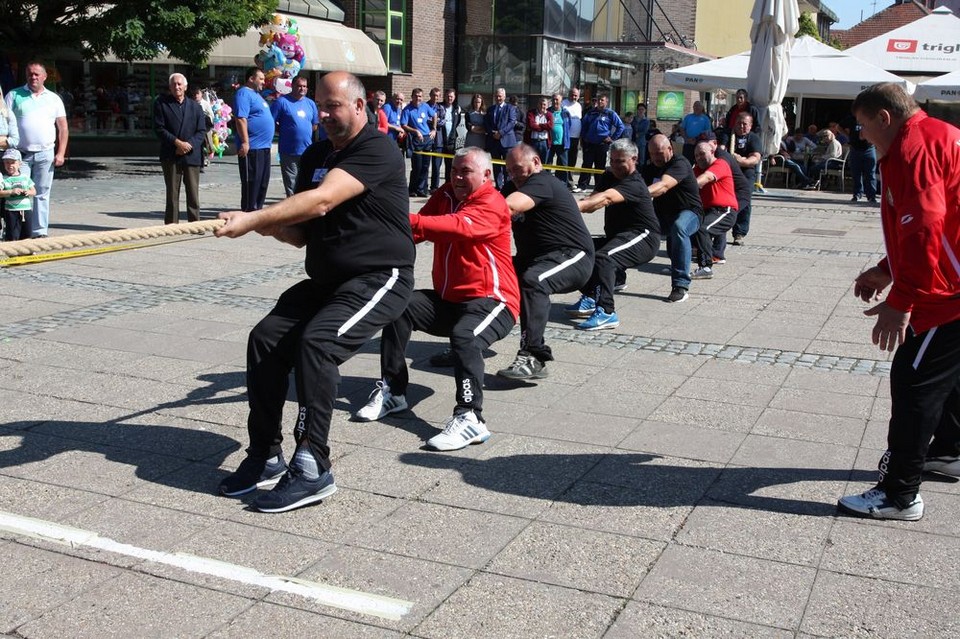 9_DŠN_DVDRRH